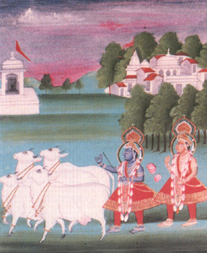 A traditional painting of Krishna and Balarama with Their cowherd companions and cows in Vrindavana, evoking the pastoral identity Abhirama Gopala Thakura carried into Gaura-lila as one of Nityananda Prabhu's twelve gopalas.