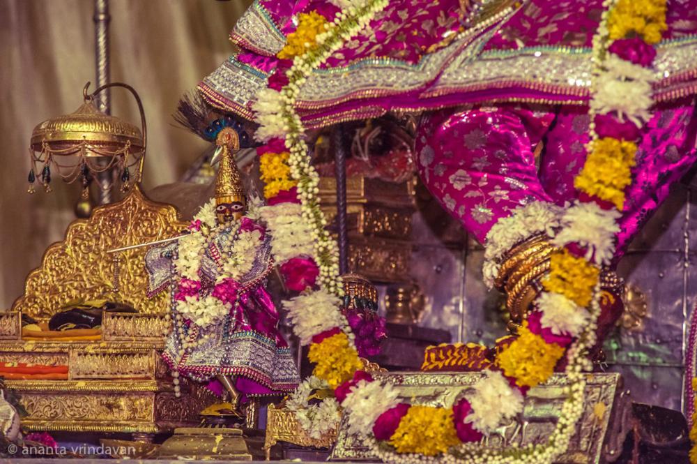 The lotus feet of Sri Govinda and Gaura-Govinda, the Deities worshiped together today in Jaipur, Rajasthan, that devotional tradition connects to Kashishvara Pandit and his disciple Govinda's Vrindavana years.