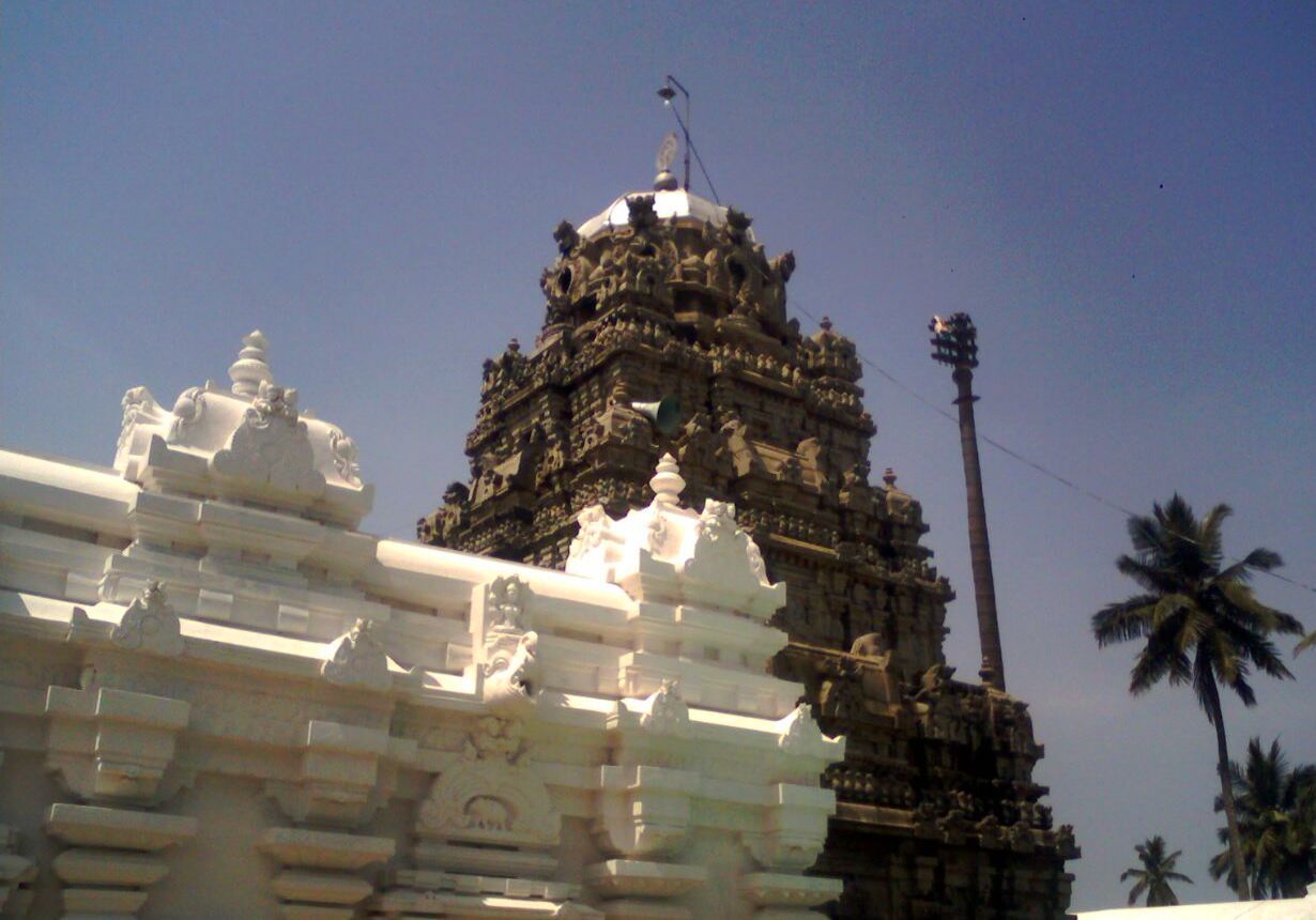The gopuram of the Kurmanatha Swamy temple at Srikurmam, Andhra Pradesh — identified with the Kurma-kshetra of Sri Chaitanya Mahaprabhu's South India tour.