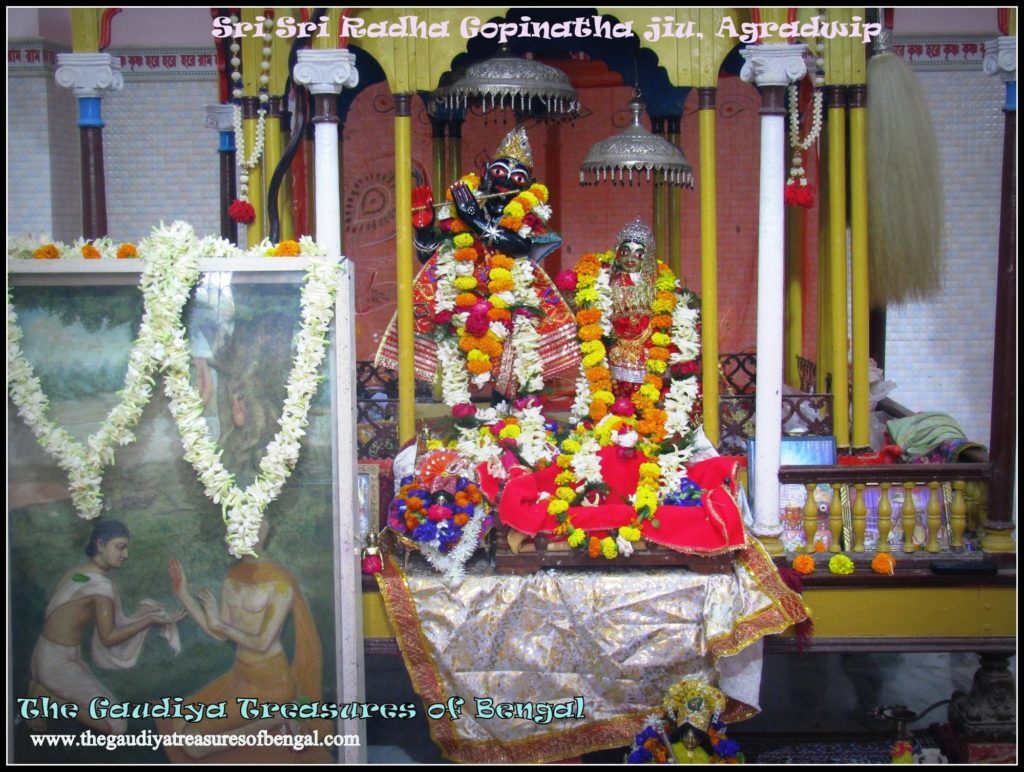 The Sri Sri Radha Gopinatha jiu deities at Agradvipa, worshiped in the devotional tradition the three Ghosh brothers' kirtan helped establish.