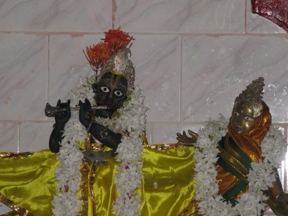 Sri Sri Radha Gopinatha, the Deities traditionally said to have been worshipped by Madhavi Devi at Bentapur, near Jagannatha Puri.