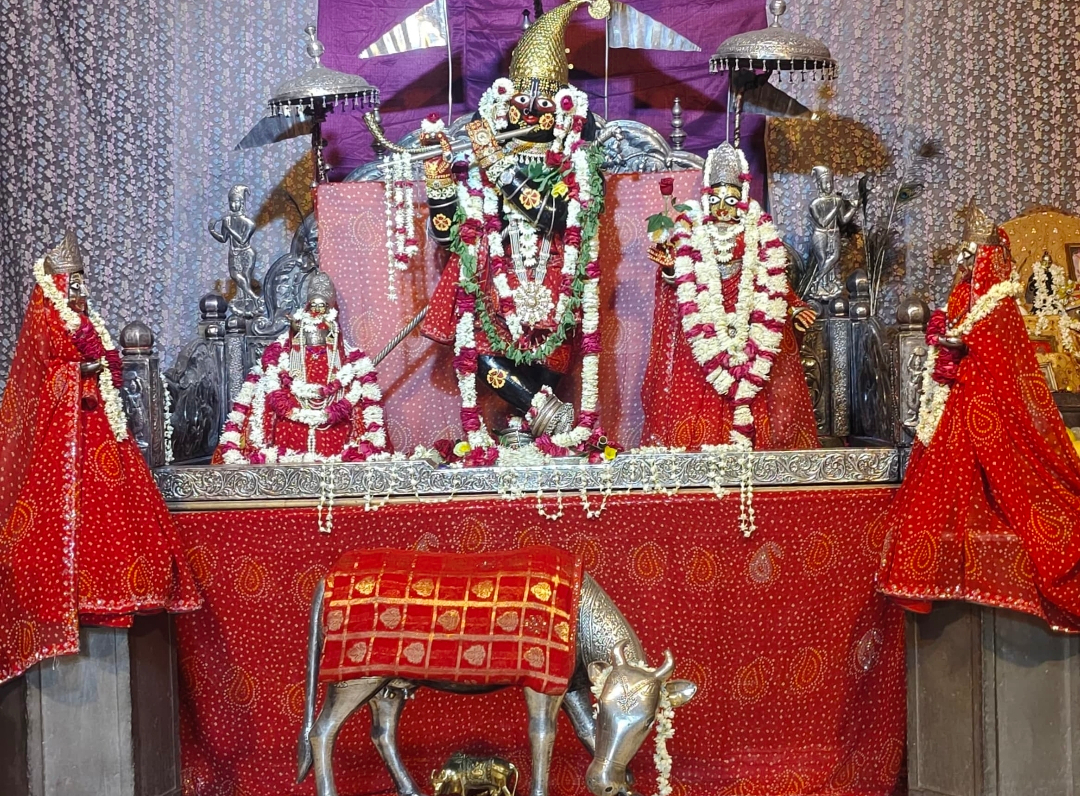The historic Radha-Gopinath Deities as enshrined today in Jaipur, Rajasthan, after being carried there from Vrindavana during the Mughal period for safety — the same Gopinatha originally discovered at Vamshivata and worshiped by Madhu Pandi