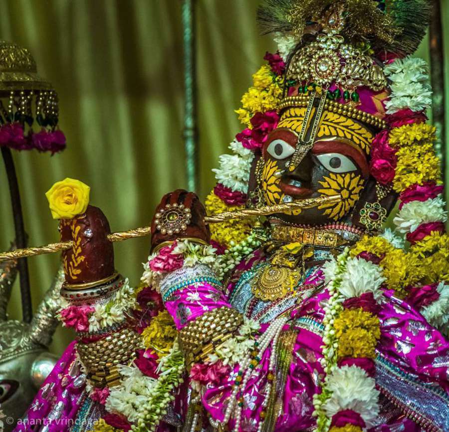 Sri Sri Radha-Govindaji, the Deity Narahari Chakravarti Thakura served as temple cook in Vrindavana into his seventies.