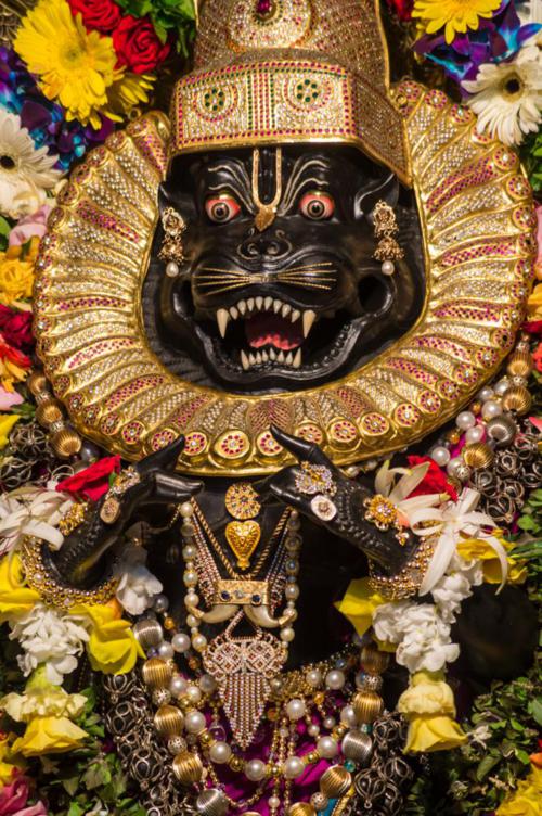 Sri Nrisimhadeva, ISKCON Sri Mayapur — the Deity form Pradyumna Brahmachari worshiped so intensely that Mahaprabhu renamed him Nrisimhananda.