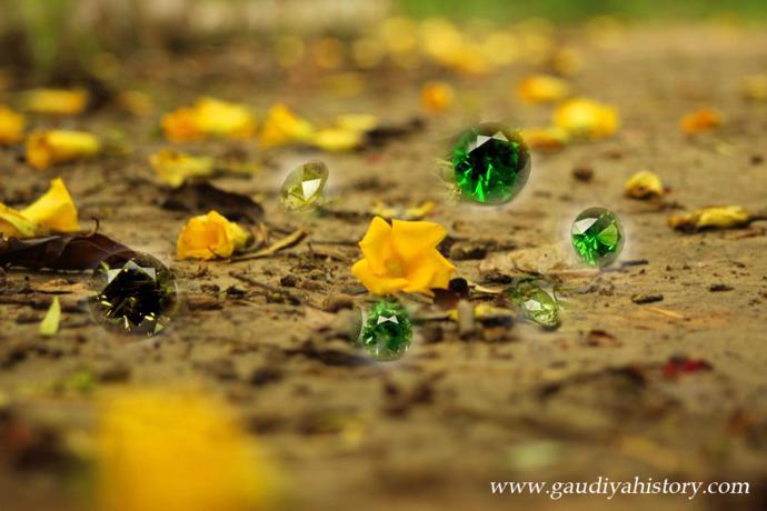 Jeweled gemstones scattered among fallen flowers on a dirt road, illustrating the bejeweled road Nrisimhananda Brahmachari built for Mahaprabhu entirely in meditation.