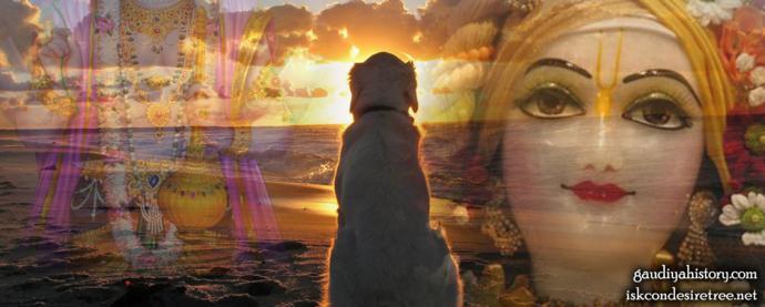 An illustrative composite showing a dog seated facing the sea at sunset near a temple, overlaid with a Deity's face, evoking the dog waiting near Sri Chaitanya Mahaprabhu at Jagannatha Puri.