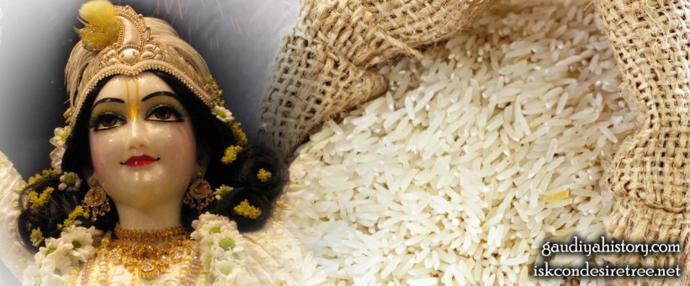A Deity of Krishna beside a burlap sack of raw rice — evoking the begging-bag rice Shuklambara Brahmachari collected and Sri Chaitanya Mahaprabhu loved to eat.