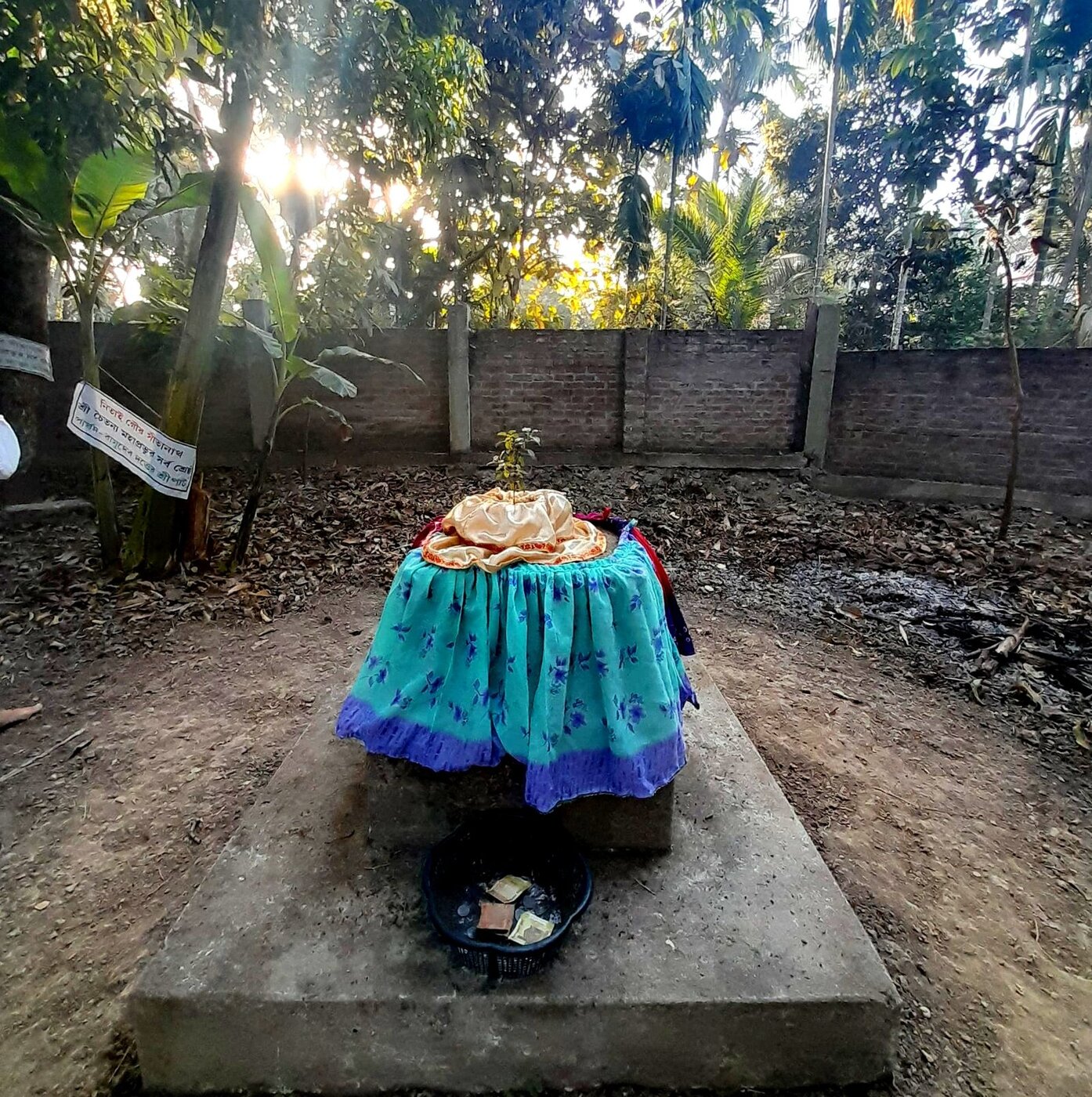 The site in Sri Mayapur traditionally identified as Vasudeva Datta's house, marked today by a memorial platform beneath an old tree.