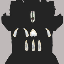 A traditional devotional portrait of Sri Vidyadhiraja Tirtha, seventh pontiff of Sri Uttaradi Math, as displayed on the matha's own official biography page for him -- the figure this page's identification points to.