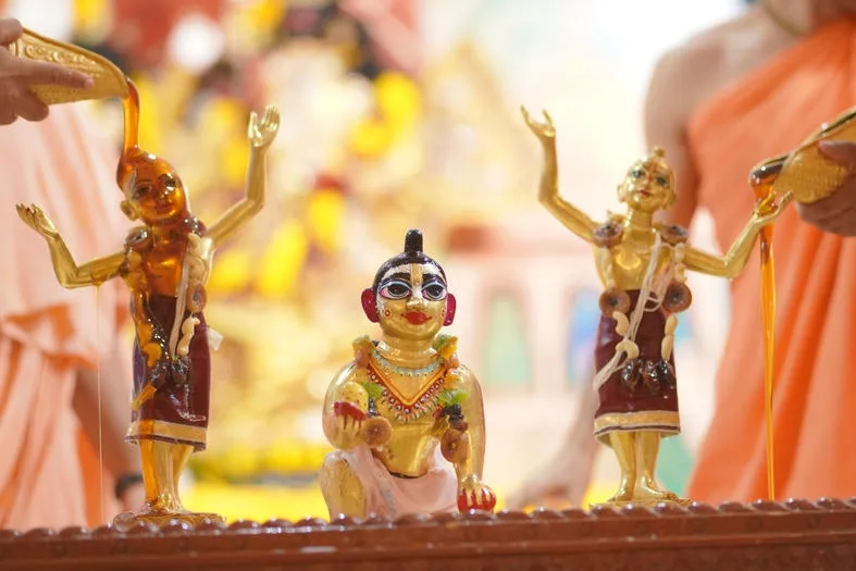 Janmashtami celebration at Nandgram Dham, photograph 5