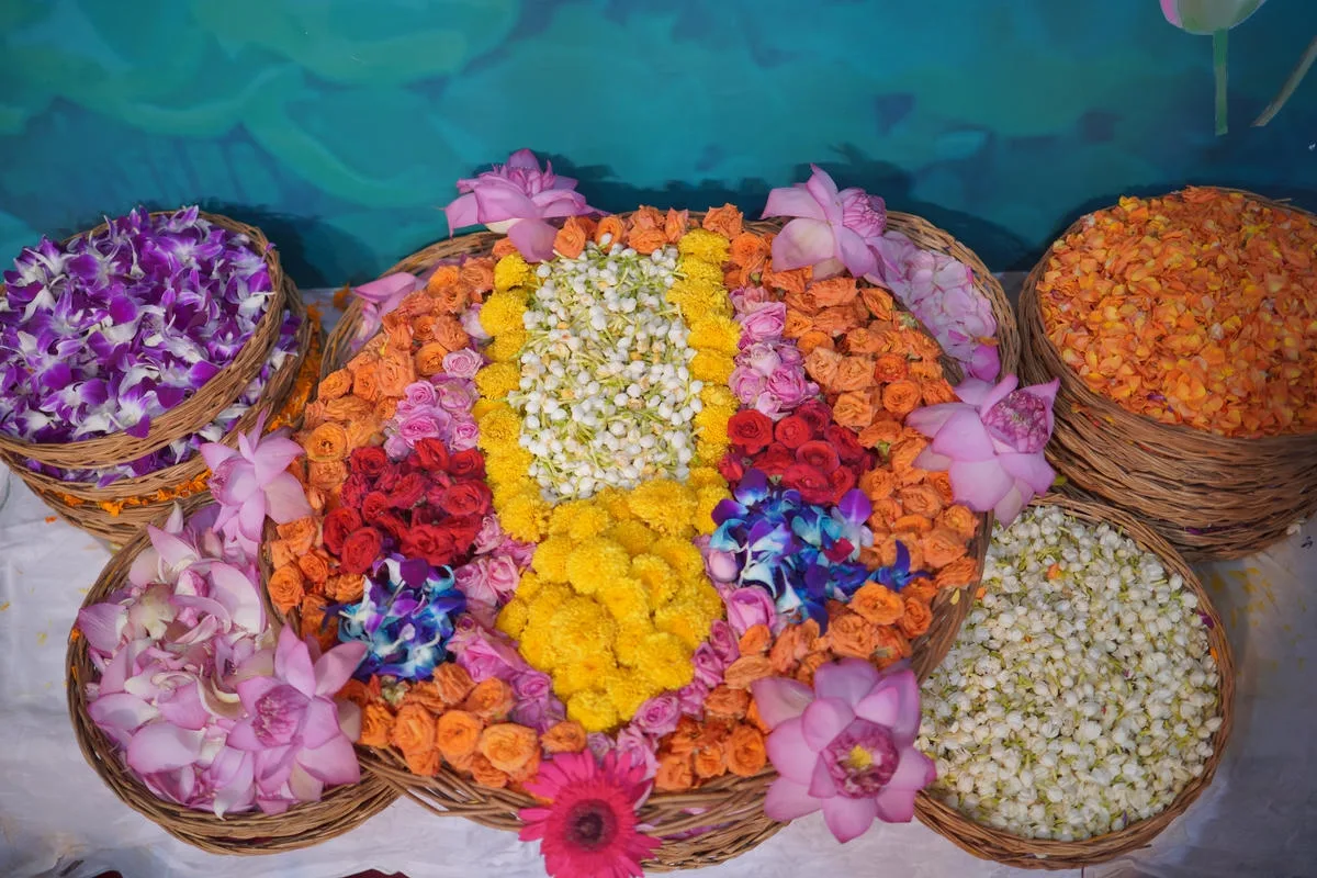 Janmashtami celebration at Nandgram Dham, photograph 6